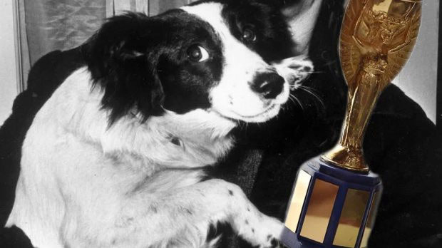 Cúp vàng World Cup và những sự thật có thể bạn chưa biết