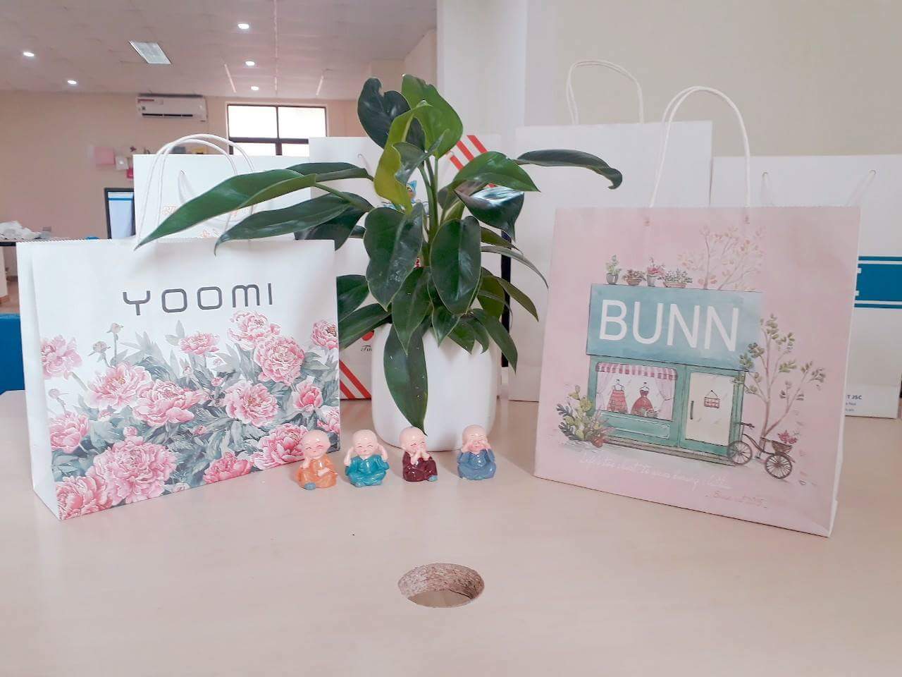 Túi giấy mỹ phẩm giấy kraft