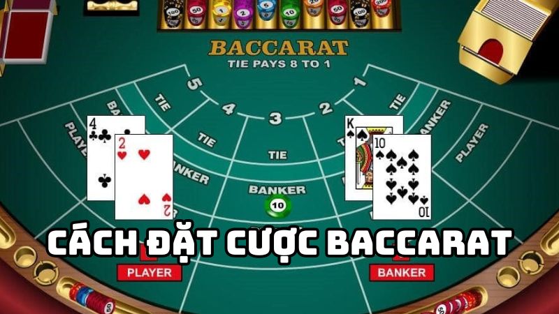 Cách chơi baccarat đơn giản, tỷ lệ thắng cao