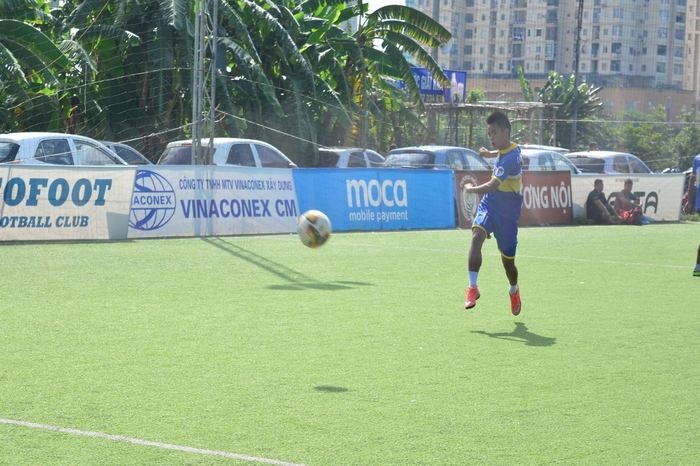 Bóng Cỏ Là Gì? Bóng Cỏ Có Những đặc điểm Gì đáng Chú ý?