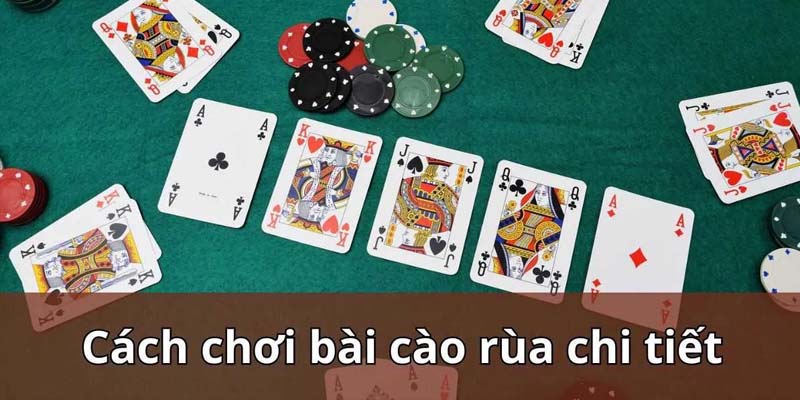 Cách Chơi Bài Cào Rùa Đơn Giản, Dễ Thắng Lớn