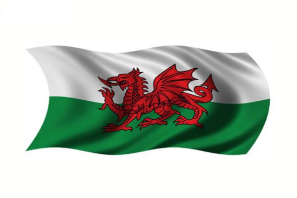 Xem tin tức mới nhất về đội tuyển xứ Wales ngay bây giờ