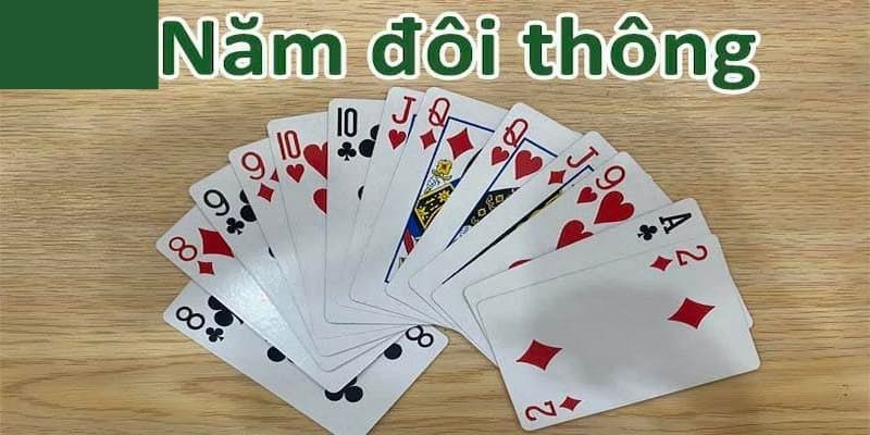 5 cặp đồng xu có thể làm được gì? Học 5 điều khôn ngoan khi bạn di chuyển về phía nam