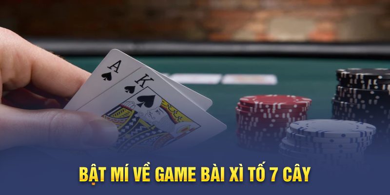 7 Card Poker - Chia sẻ cách chơi & mẹo để thắng lớn 4 Xì Tố 7 Cây - Chia Sẻ Cách Chơi & Bí Kíp Đánh Bài Đại Thắng