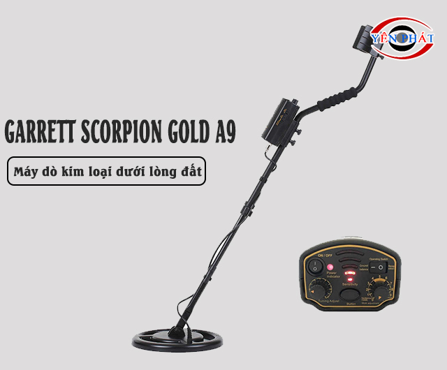 Máy dò kim loại nào tốt nhất? 10 mẫu máy phải xem