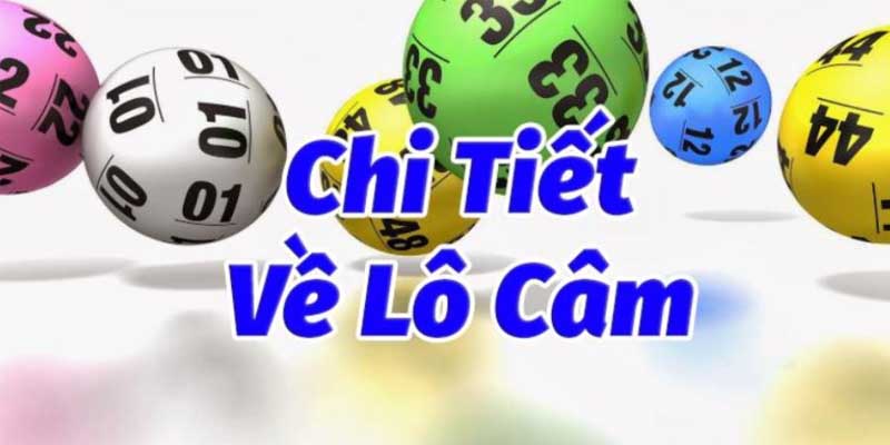 Lô Câm Là Gì​? Kinh Nghiệm Đánh Lô Câm Chuẩn Xác Nhất