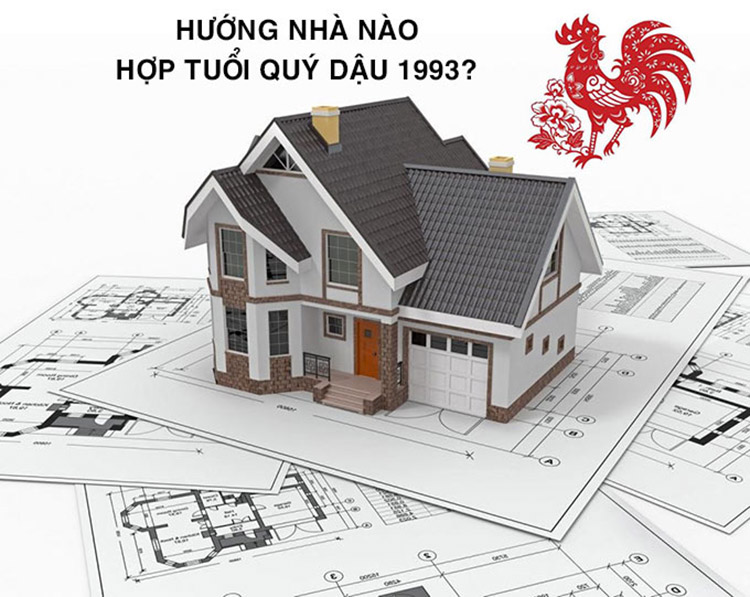 Tổng quan về tuổi Quý Dậu 1993