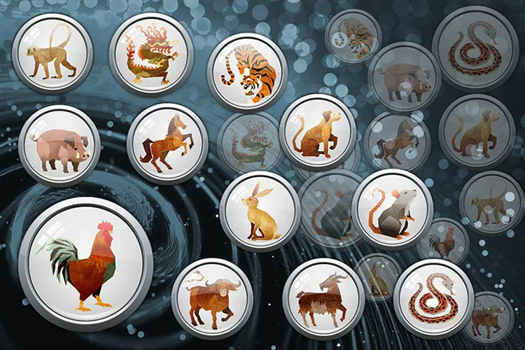 Quý dậu hợp với tuổi nào