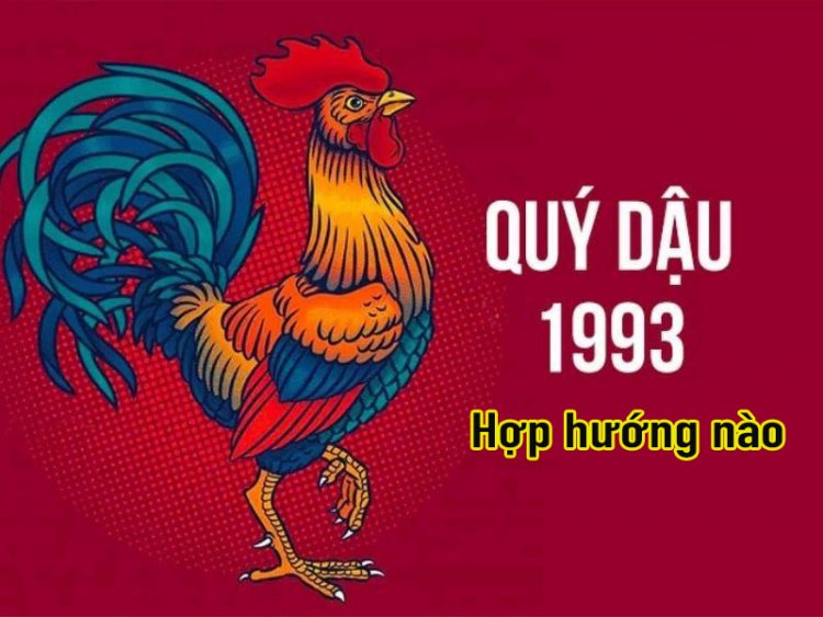 Xem hướng nhà hợp với người tuổi Quý Dậu 1993 và cách bố trí theo phong thủy năm 2025